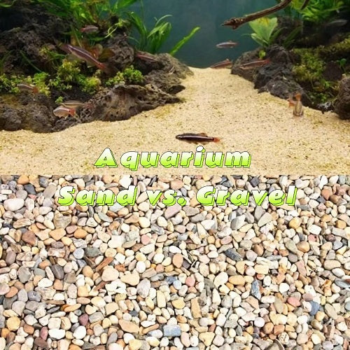 Aquarium Sand vs. Gravel Petnanny Store