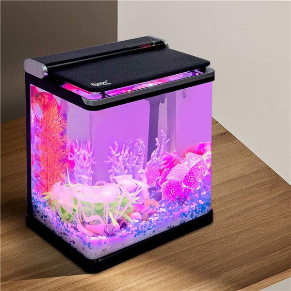 Hygger 4-Gallon Glass Aquarium Kit