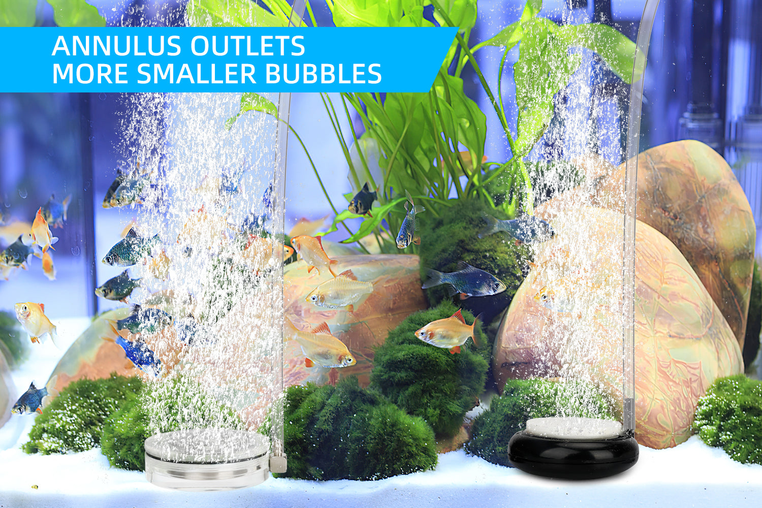 Hygger Annulus Outlets Aquarium Bubble Stone
