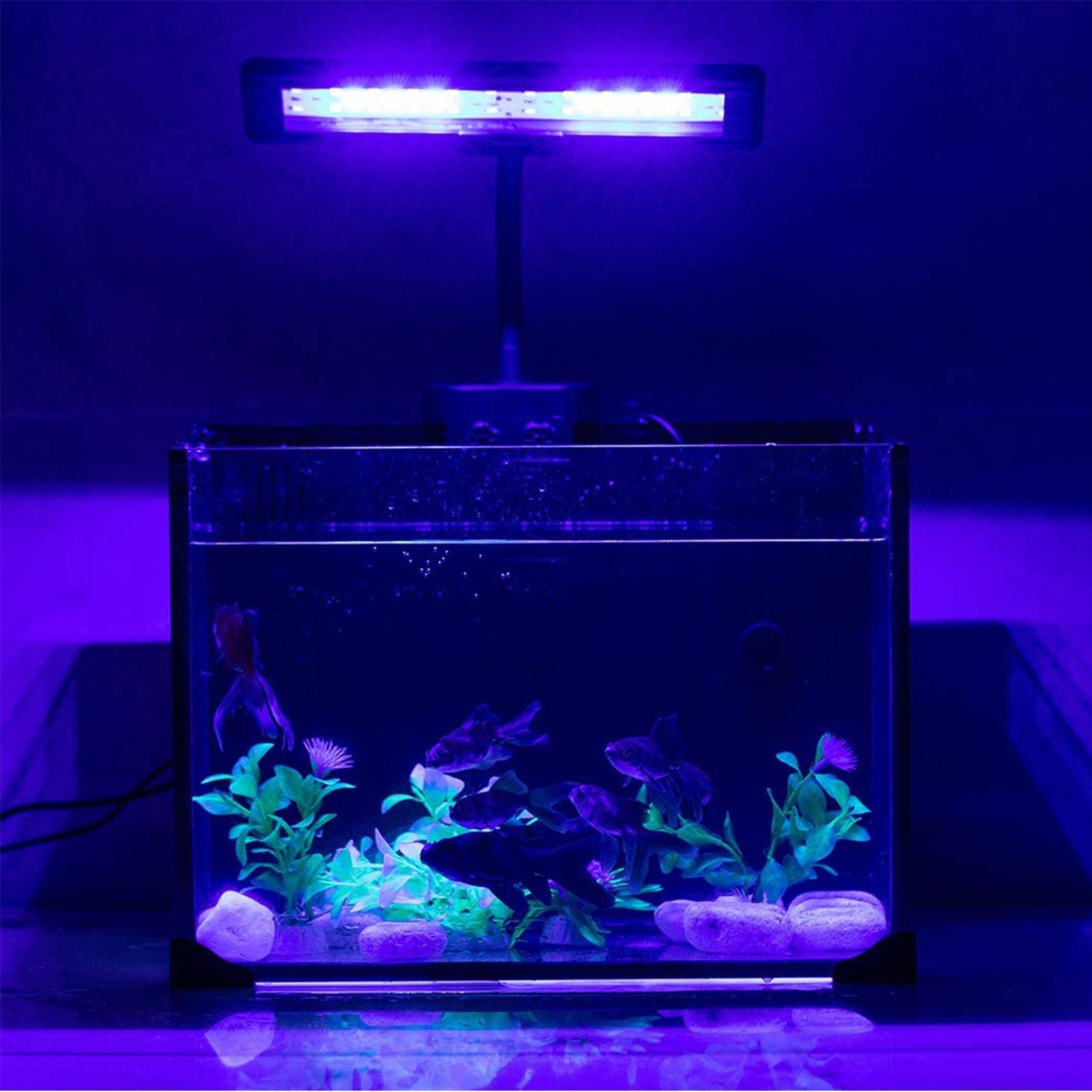 Hygger Blue White LED Aquarium Light with Gooseneck Clamp
