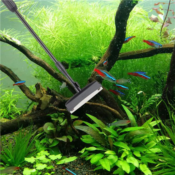 How to Clean Fish Tank Rocks and Substrates - Hygger