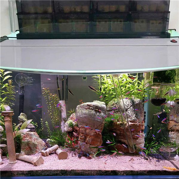 Hygger Large Aquarium Filter Media - Ceramic Bio Media Blocks (40 Pieces)