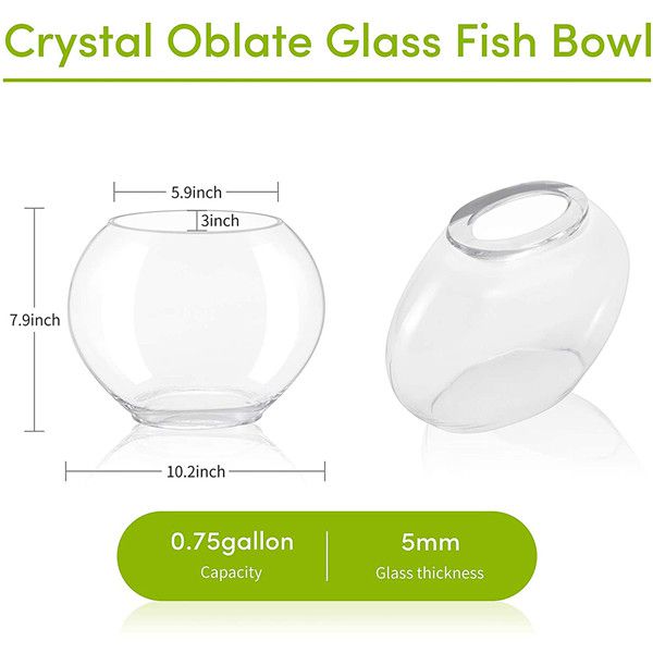 Hygger 0.75-Gallon Oblate Glass Fish Bowl Kit