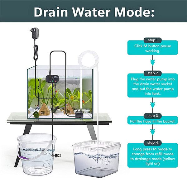Common Mistakes and Pro Tips